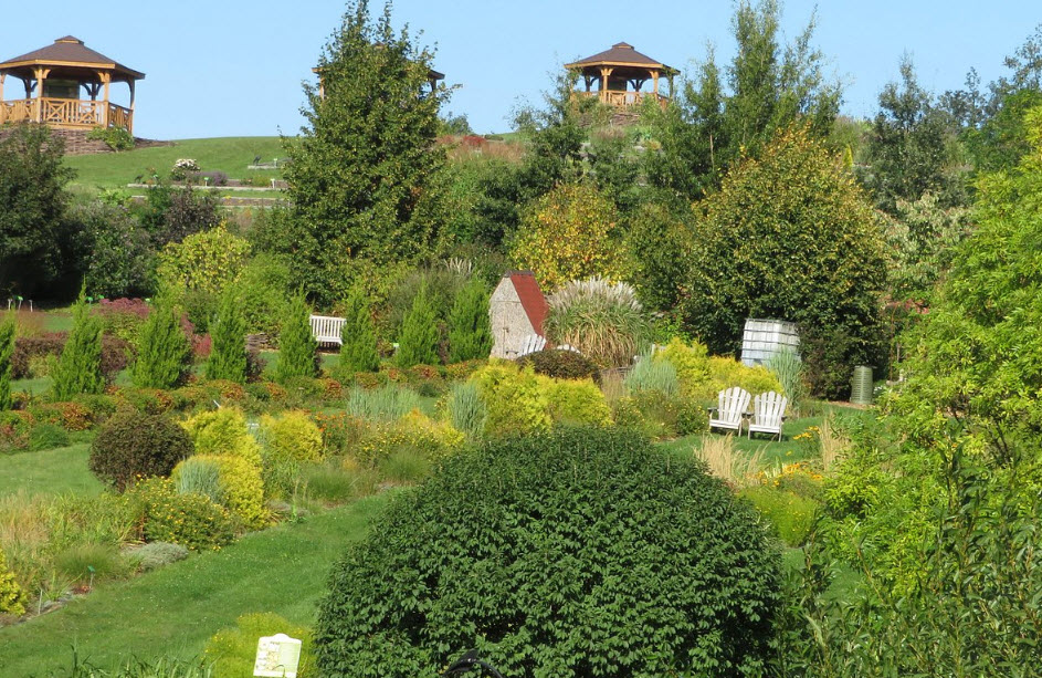 Arboretum Wojsławice, Poland